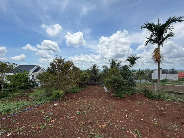 🏡 BÁN ĐẤT SÀO VIEW NGHỈ DƯỠNG ĐẸP – BMT
🌿 Vị trí: BMT, khu vực YMoan