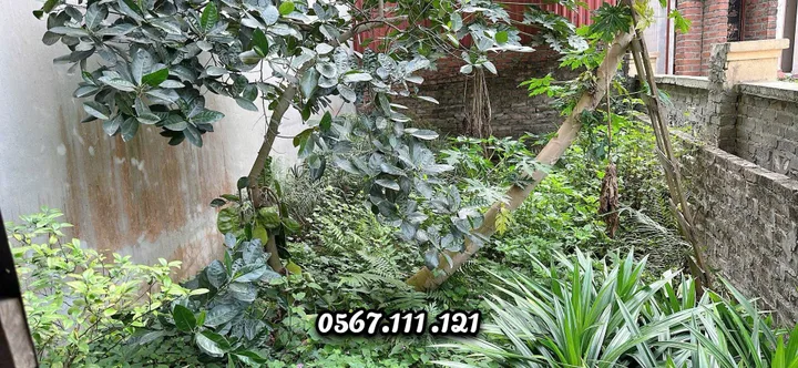 Bán 44m2 đất cổ điển, hải bối, 1 phút ra cầu thăng long, dân cư sầm uất