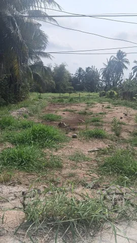 CHÍNH CHỦ Cần Bán 1000m2 Đất ở hẻm ô tô Châu Thị Kim, An Vĩnh Ngãi, TP Tân An