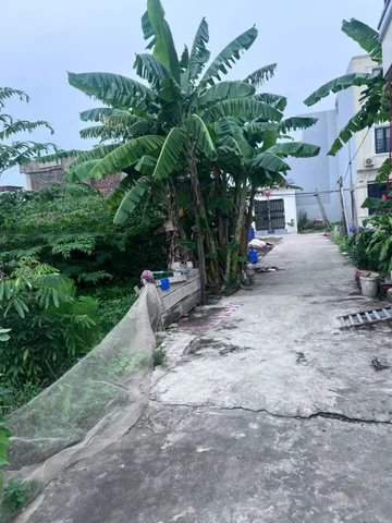 1HN51 🔥🔥 CẦN BÁN NHANH LÔ ĐẤT ĐẸP NGÕ 79 ĐẠI THẮNG – HÒA NGHĨA – DƯƠNG KINH 🔥🔥