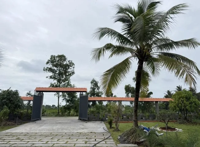 TRỐN PHỐ VỀ VƯỜN – NHÀ VƯỜN BÌNH CHÁNH ĐẸP, THOÁNG MÁT QUANH NĂM