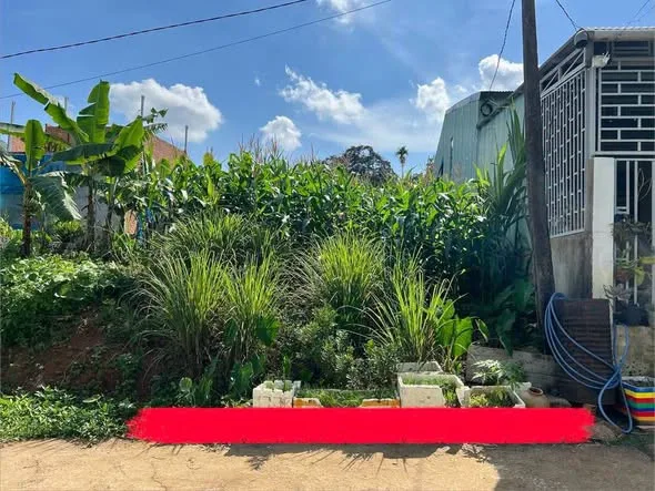 🔥 GIÁ RẺ NHẤT KHU VỰC – ĐẤT GẦN BỆNH VIỆN MỚI BẢO LỘC 🔥