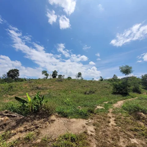 🔥 CHỈ 499 TRIỆU SỞ HỮU NGAY 5.000m² ĐẤT SỔ HỒNG RIÊNG – VIEW ĐỒI ĐẸP