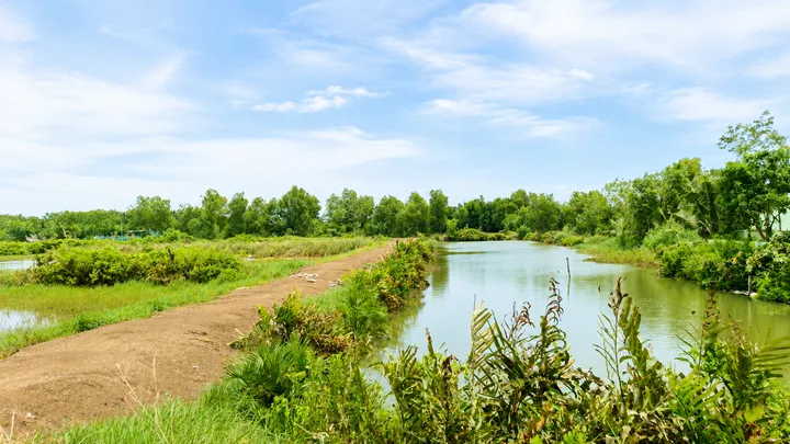 🌿 BÁN ĐẤT NÔNG NGHIỆP TIỀM NĂNG ĐẦU TƯ TẠI NHƠN ĐỨC – NHÀ BÈ 🌿