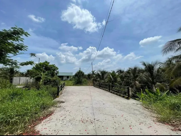 Chủ về Bắc gửi bán 1 lô đất vườn diện tích rộng, mặt tiền đường nhựa, dân cư đông đúc. Tiện ích xung quanh đầy đủ