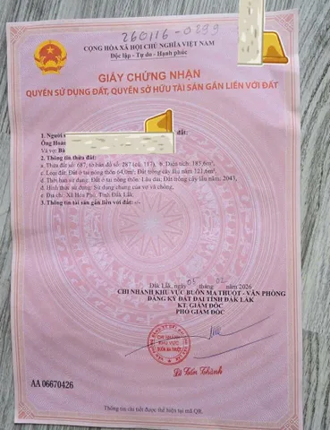 🔥 Đất gần chợ Hòa Phú – KCN Hòa Phú , Diện tích : 8 x 23,2 TC 64, Giá 885tr