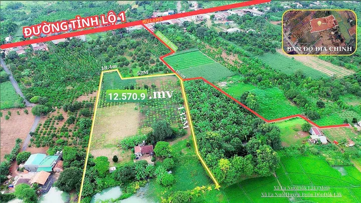 🌿 Nhà vườn view ruộng hơn 1,3ha – Ea Nuôl, Buôn Đôn rộng hơn 1 héc 3 , thổ cư 400m2 giá 5 tỷ ( TLCC)