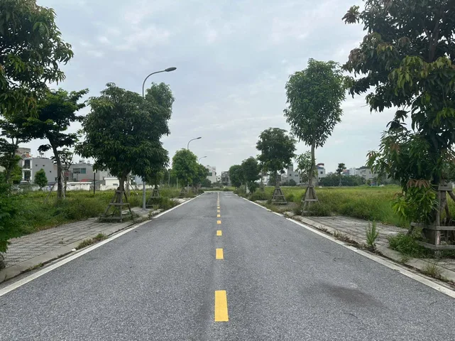 🏠🌺🌺👉Chính chủ gửi en bán giúp 3 lô đất liền nhau ( có bán lẻ) khu đô thị Trái Bầu phường Lê Thanh Nghị , tp Hải Dương