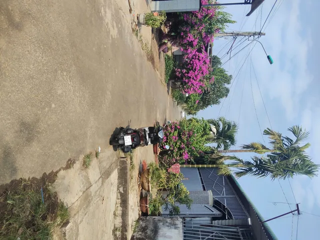 Nhà cấp 4, 5x37m thổ cư full 100%. Phường thành nhất