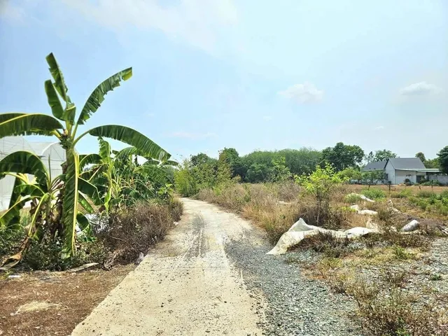 BÁN 2 SÀO ĐẤT 2.000M2 CÓ SHR, DÂN ĐÔNG GẦN TỈNH LỘ