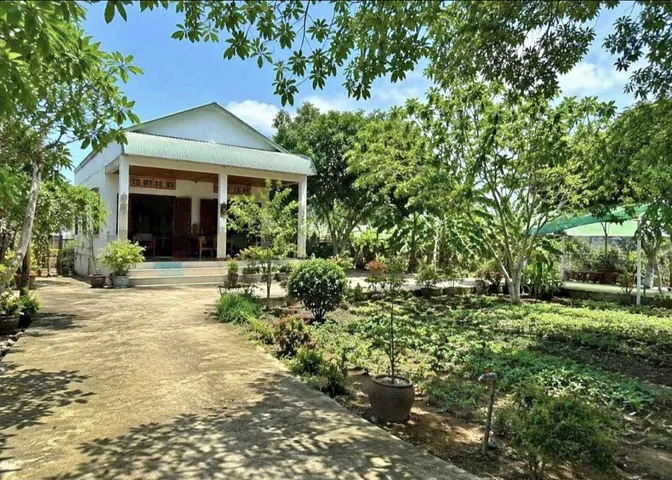 Chạm Nhịp Sống Xanh Giữa Lòng Quận 11 – Nhà Vườn Đẹp, Hiếm Có Khó Tìm