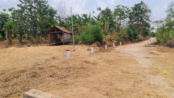 🌿 **ĐẤT VIEW CÁNH ĐỒNG CỰC ĐẸP – PHÙ HỢP XÂY NHÀ VƯỜN, BIỆT THỰ, HOMESTAY** 🌿
