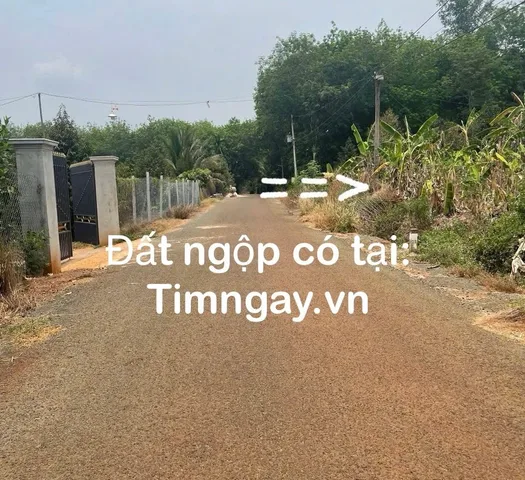 BÁN 1.175M2 ĐẤT MẶT TIỀN NHỰA, GẦN CHỢ, SHR SÁT ĐT.756