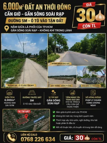 6.000M² ĐẤT AN THỚI ĐÔNG, CẦN GIỜ. GẦN SÔNG SOÀI RẠP. ĐƯỜNG 5M. 💰30 🧄 CÒN TL. 📱0768 226 634
