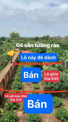 🔥 ĐẤT THỔ CƯ GIÁ TỐT – GẦN UBND XÃ HÒA KHÁNH, TP. BMT  570tr ( Lô sát nhà 12,5 x 11 TC 60 m2)🔥