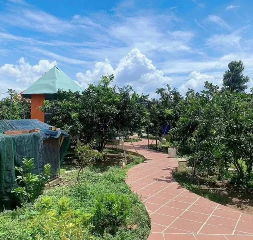 Chủ Bán Gấp Nhà Vườn 1000m2 - Giá 390 triệu - Ngã Tư Chơn Thành - Đã Có Sổ - Cực KÌ Đẹp