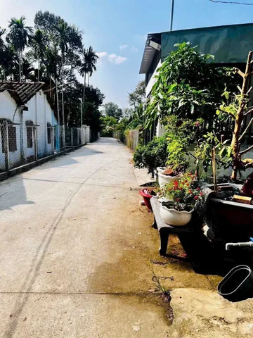Tương Bình Hiệp nhánh đường Dx146.