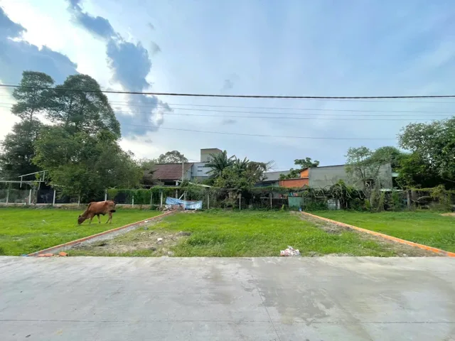 bán gấp lô đất 11m ngang ấp cây sộp củ chi sổ hồng riêng