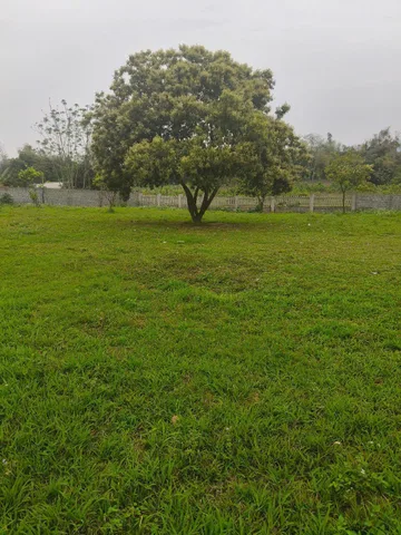 1952m 180tc - khu dân cư - view cánh đồng - Lương sơn, HB - giá đầu tư