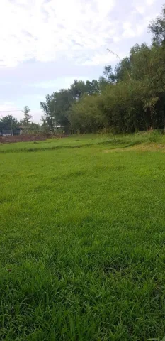 🔥CHỦ CẦN BÁN GẤP NHÀ VƯỜN 2248m2,CÓ NHÀ CẤP 4 KIÊN CỐ, CÂY ĂN TRÁI, MƯƠNG NƯỚC, THÁI MỸ, CỦ CHI🔥