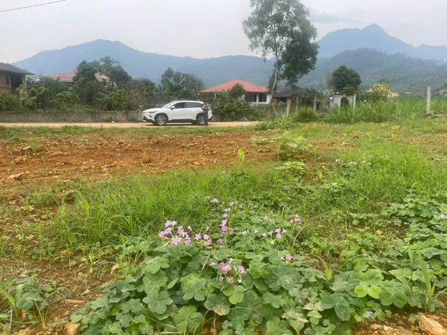 Chính Chủ Gửi Bán 400m Bìa Đỏ Vuông Vắn : lh 0971569915
