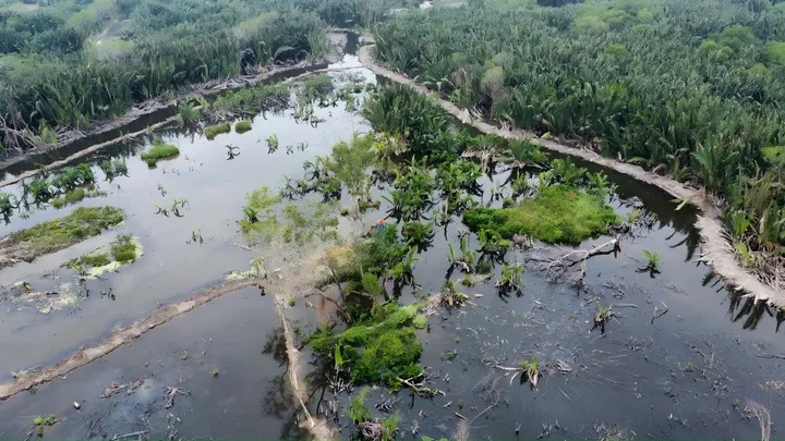 1815m2 đất nông nghiệp xã Long Thới, tờ bđ số 02 chủ kẹt tiền bán nhanh giá rẻ