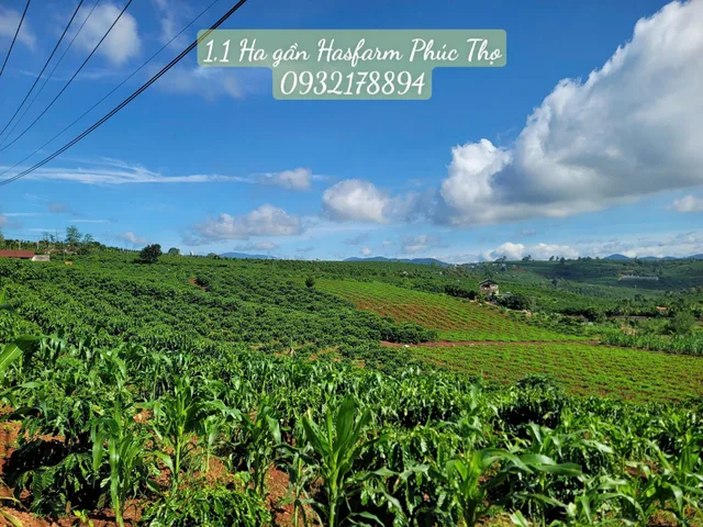1,1 Hecta đất như nông thôn nước Mỹ, địa thế lòng chảo cực đẹp, Nhìn view thoáng sang xung quanh 5km