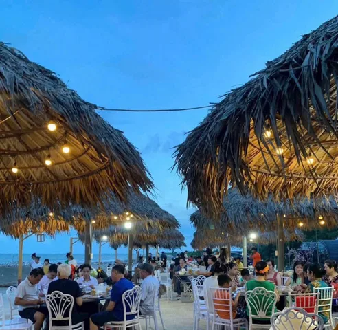 🔥 BÁN GẤP ĐẤT BIỂN QUẤT LÂM – 100M² – MẶT TIỀN 8M – GIÁ NGỘP CHỈ 1,4 TỶ – ĐẦU TƯ SINH LỜI