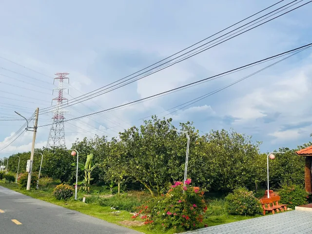 1 tỷ1 là có ngay lô đất 1500m2, mua đất tặng vườn bưởi đang sum suê luôn nha ac