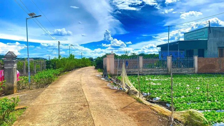Bán Đất 502m2 có sẵn 200 m2 thổ cư giá 1.6 tỷ tại hẻm ĐT724 Xã Tân Hội Huyện Đức Trọng Lâm Đồng