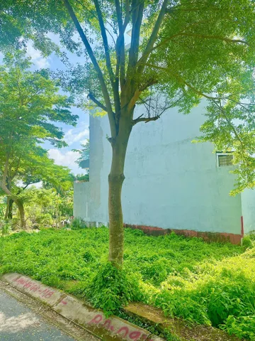🌻🌻BÁN  ĐẤT SỔ RIÊNG, KHU VEN SÔNG NGUYỄN BÌNH 👉 GIÁ CHỈ 4,5 TỶ, ngang 7,5m
- ĐƯỜNG 7M, TRỤC CHÍNH 1 SẸC
