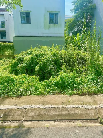 🌻🌻BÁN ĐẤT SỔ RIÊNG, KHU VEN SÔNG NGUYỄN BÌNH 👉 GIÁ CHỈ 3.7 TỶ, ngang 7,3m - ĐƯỜNG 7M, TRỤC CHÍNH 1 SẸC