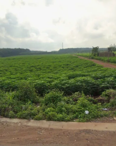 Lô đất view kênh mát rượi, chủ cắt lỗ sâu để chốt nhanh trong tuần.