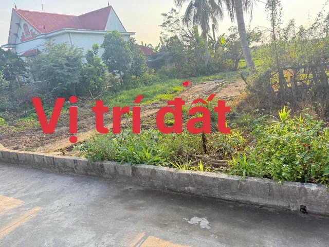 2HK99.3 🚨 ĐÓN SÓNG KCN TÂN TRÀO - ĐẤT ĐA NGƯ CHỈ HƠN 1 TỶ X 🚨