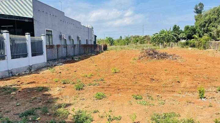 Bán gấp 298m2, mặt tiền đường nhựa đang trồng mít 520 triệu, sổ riêng sẵn thổ cư