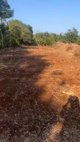 🌟 ĐẤT SÀO GIÁ NGỘP – DIỆN TÍCH KHỦNG 12M MẶT TIỀN ĐẤT BUÔN EA KHÍT 🌟