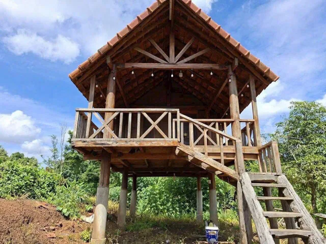 🔥🔥Hơn 1,1 Ha Cafe tơ, Ở Xã Ea Nuôi. Gần Thành Phố Buôn Ma Thuột, Đắk Lắk