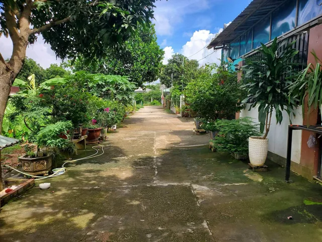 Cần bán lô đất vườn diện tích đẹp sát chợ Hòa Long, TP.Bà Rịa 438m2 có thổ cư giá nét 2 tỷ 990