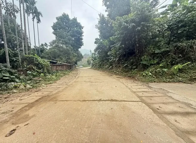 Cần bán gấp 1175m Phú Mãn- Phú cát
