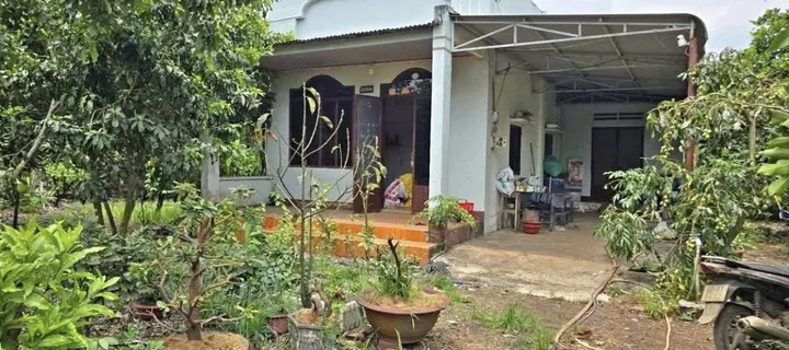 CHÍNH CHỦ CẦN RA NHANH MẢNH VƯỜN 1500M2 - SẴN THỔ, SỔ SẴN