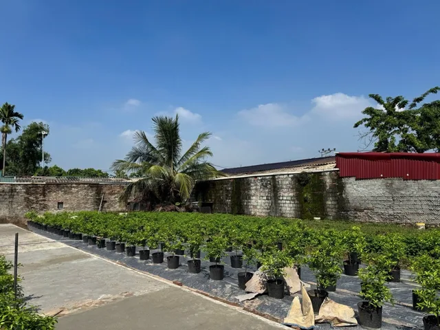BÁN LÔ ĐẤT 45M2 GIÁ 1,9 TỶ TẠI VĂN GIANG; HƯNG YÊN