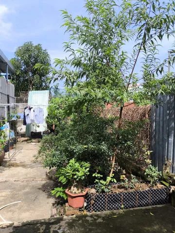 bán gấp chả ngân hàng, mua hai tỷ rưởi giờ con một tỷ tám