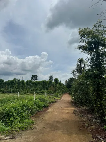 💥 CHÍNH CHỦ BÁN ĐẤT ĐẸP P. TÂN AN - CÁCH QL26 CHỈ 300M 💥