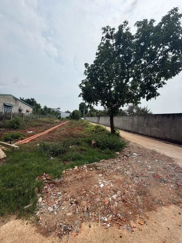 LÔ SAU UỶ BAN EAKAO TRỤC SONG SONG Y WANG