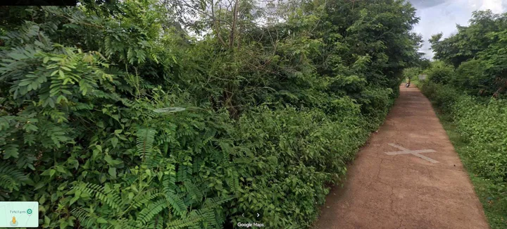 Bán đất rẫy 10000m² ngang 30 m giá 450 triệu/ sào tại Phường Ea Kao
