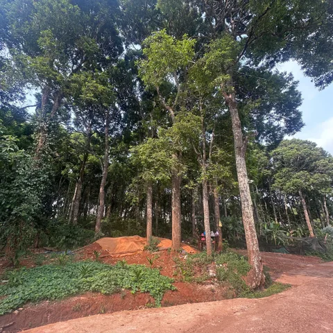 🌿 SỞ HỮU MẢNH ĐẤT GIÁP SUỐI – KHÔNG GIAN NGHỈ DƯỠNG GIỮA LÒNG THÀNH PHỐ 🌿