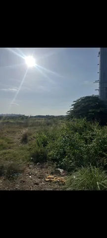 BÁN ĐẤT TÂY LÂN BÌNH TÂN 11.000M2 300 TỶ NGANG 52M NỞ HẬU ĐẸP PHÙ HỢP KHO BÃI NHÀ XƯỞNG
