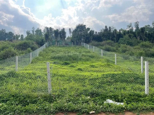 2,4ha đẹp như tranh giữa Tân Văn – Quỹ đất đáng để xuống tiền trước khi mặt bằng giá thay đổi