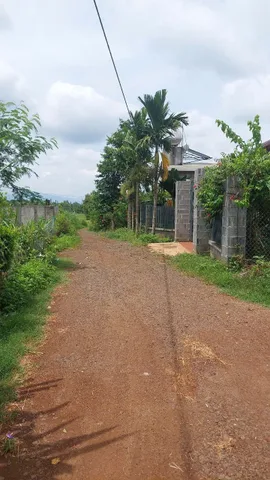 🔥 ĐẤT RẺ ĐẦU TƯ - CHỈ 300 TRIỆU ĐỒNG 🔥
Vị Trí: Xã Ea Ning, Huyện Cư Kuin