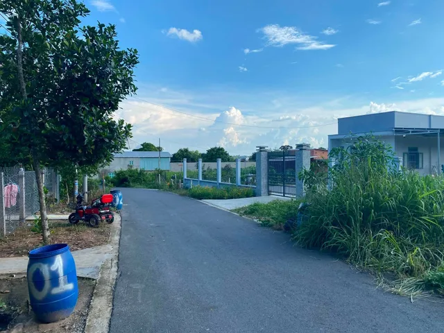 Chủ Vườn đi Nước Ngoài định cư nhượng lại lô đất vườn ngang 15m x 61m nhựa to có sẵn cây ăn trái